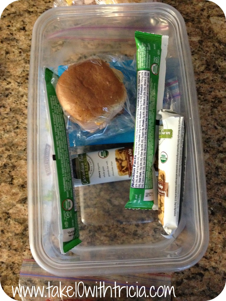 packed-lunch-in-ziploc-container-cold-pack