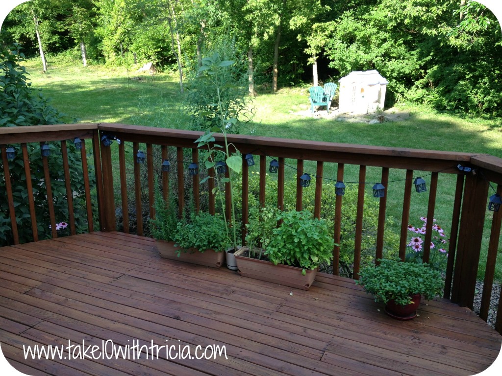 Growing-herbs-on-deck