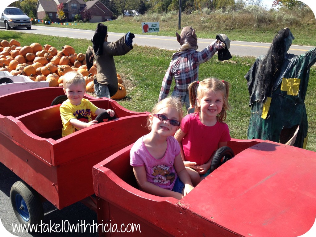 hidden-valley-fruit-farm-train