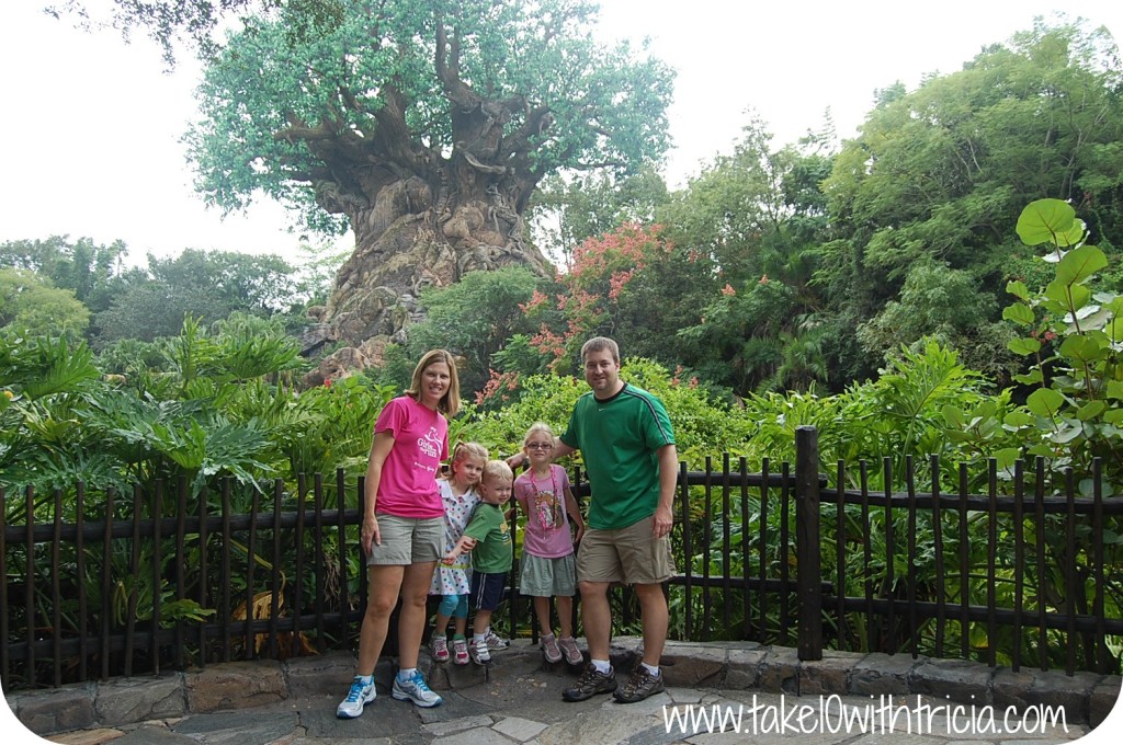 Wades-Tree-of-Life-Disney