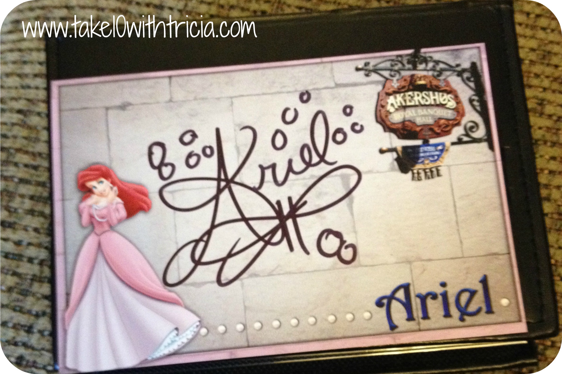 Disney Autograph & Photo Book - Disney Princess