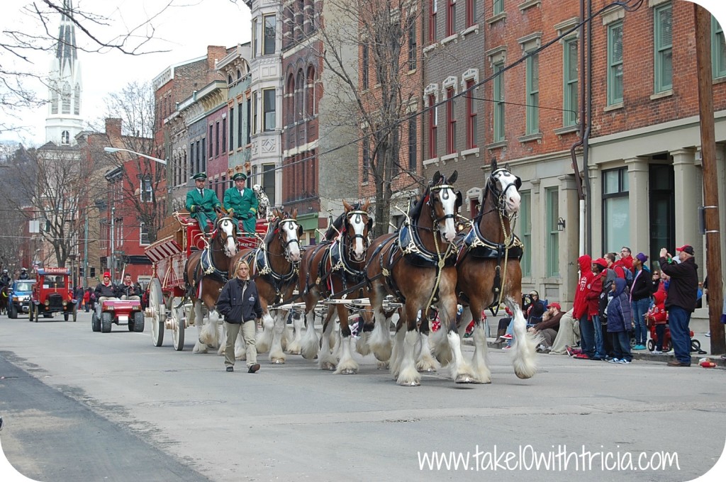 reds-opening-day-parade-clydesdales