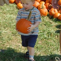 Pumpkin Patches and Other Fall Festivities