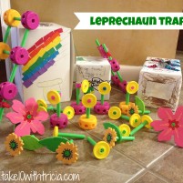 How To Make a Leprechaun Trap
