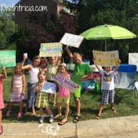 The Lemonade Stand That Didn’t Make the Bucket List
