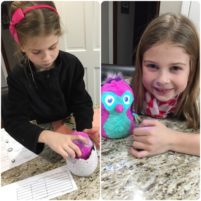 When Our Hatchimal Would Not Hatch