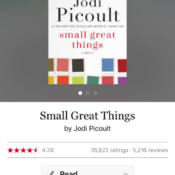 Book: small great things