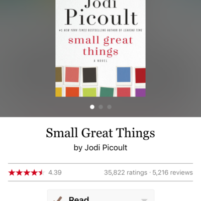 Book: small great things