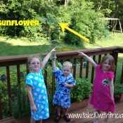 What Does Your Garden Grow?