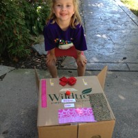 Cardboard Box Rocket Ships